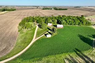 2200 216th St, Madison, MN 56256 - Photo 3