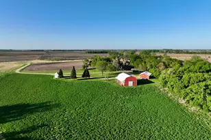 2200 216th St, Madison, MN 56256 - Photo 3