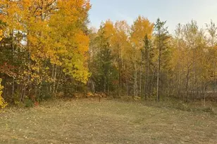 6231 164th St NW, Cass Lake, MN 56633 - Photo 13