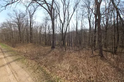 Xxx Lake Camille Dr., Randall, MN 56475 - Photo 13