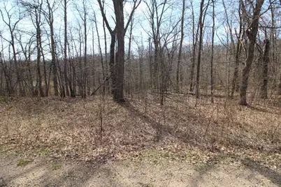 Xxx Lake Camille Dr., Randall, MN 56475 - Photo 11