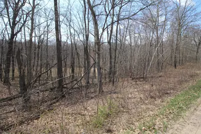 Xxx Lake Camille Dr., Randall, MN 56475 - Photo 5