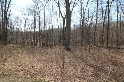 Xxx Lake Camille Dr., Randall, MN 56475 - Photo 9