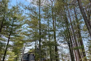 12125 Whitefish Ave, Crosslake, MN 56442 - Photo 47