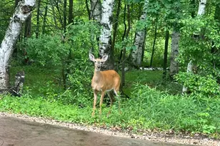 7884 341st St, Stacy, MN 55079 - Photo 7
