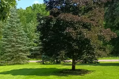 7884 341st Street, Stacy, MN 55079 - Photo 5