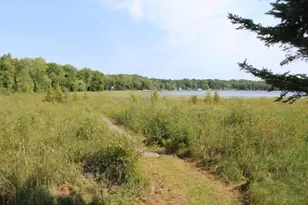 29957 436th Pl, Aitkin, MN 56431 - Photo 9