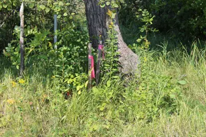 29957 436th Place, Aitkin, MN 56431 - Photo 33