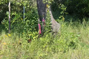 29957 436th Pl, Aitkin, MN 56431 - Photo 33