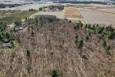Tbd Montgomery Road, Hixton, WI 54635 - Photo 13