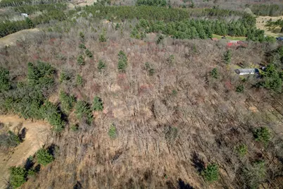 Tbd Montgomery Road, Hixton, WI 54635 - Photo 7