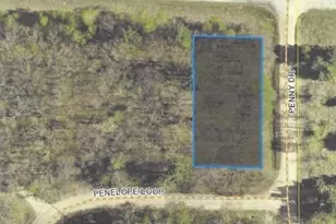 Tbd Penelope Loop, Browerville, MN 56438 - Photo 1