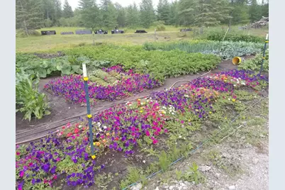 1693 Town Road 112, Birchdale, MN 56629 - Photo 19