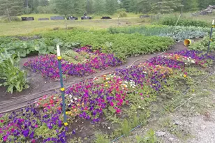 1693 Town Rd 112, Birchdale, MN 56629 - Photo 19