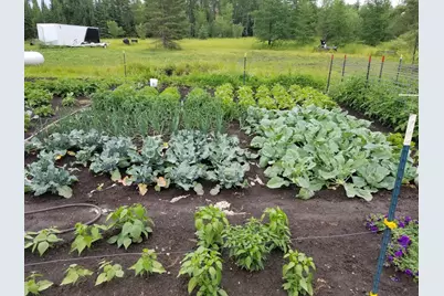 1693 Town Road 112, Birchdale, MN 56629 - Photo 17