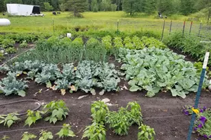 1693 Town Rd 112, Birchdale, MN 56629 - Photo 17