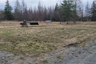 1693 Town Rd 112, Birchdale, MN 56629 - Photo 13