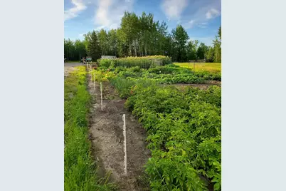 1693 Town Road 112, Birchdale, MN 56629 - Photo 15