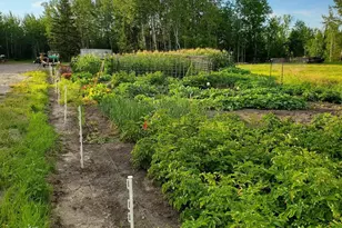 1693 Town Rd 112, Birchdale, MN 56629 - Photo 15