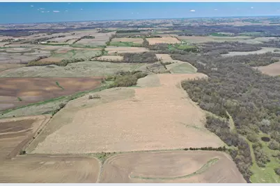 Tbd 375th Avenue, Zumbro Falls, MN 55991 - Photo 1