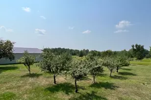 18851 121st Ave, Leaf River Twp, MN 56482 - Photo 47