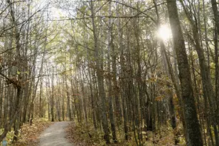 21574 State 200, Rice Twp, MN 56621 - Photo 95