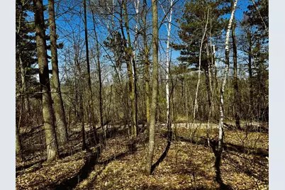 Tbd Rognaldson Road, Brainerd, MN 56401 - Photo 13