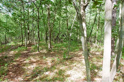 Tbd Rognaldson Road, Brainerd, MN 56401 - Photo 5