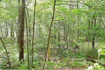 Tbd Rognaldson Road, Brainerd, MN 56401 - Photo 7