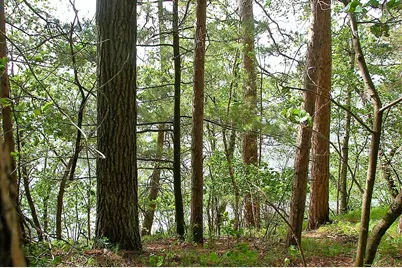 Tbd Rognaldson Road, Brainerd, MN 56401 - Photo 3