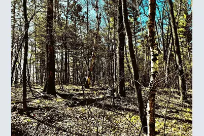 Tbd Rognaldson Road, Brainerd, MN 56401 - Photo 9