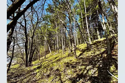 Tbd Rognaldson Road, Brainerd, MN 56401 - Photo 11