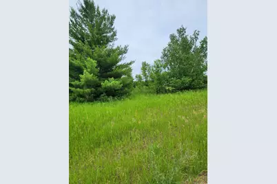 000 392nd Street, Moran Township, MN 56438 - Photo 1