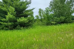 000 392nd St, Moran Township, MN 56438 - Photo 1