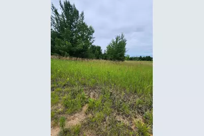 000 392nd Street, Moran Township, MN 56438 - Photo 9