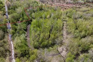 12235 323rd Street, Princeton, MN 55371 - Photo 45