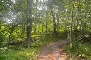 8038 Lost Lake Rd, Lake Shore, MN 56468 - Photo 11