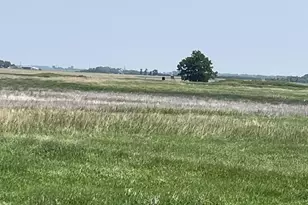 88700 388th Ave, Heron Lake, MN 56137 - Photo 71