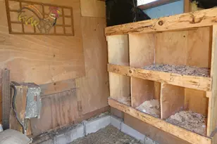 88700 388th Ave, Heron Lake, MN 56137 - Photo 35