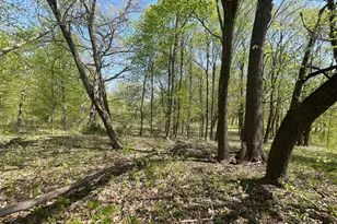 1Xx Stark Rd, Harris, MN 55032 - Photo 1