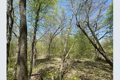 1Xx Stark Road, Harris, MN 55032 - Photo 19