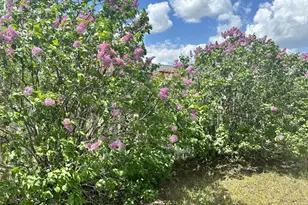 1008 Sunrise Cir, Park Rapids, MN 56470 - Photo 27