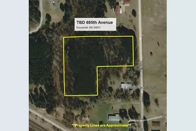 Tbd 695th Avenue, Roosevelt, MN 56673 - Photo 15