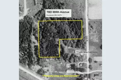 Tbd 695th Avenue, Roosevelt, MN 56673 - Photo 11