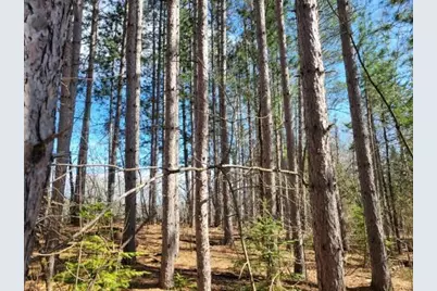 Tbd 695th Avenue, Roosevelt, MN 56673 - Photo 5