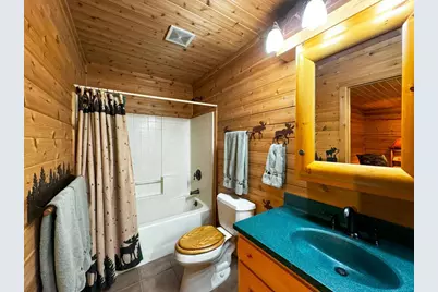 7236 Far North Road, Orr, MN 55771 - Photo 27