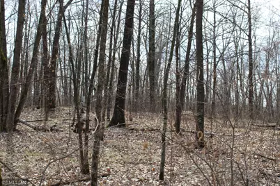 39743 Van Gordon Road, Hinckley, MN 55037 - Photo 1