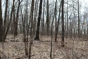 39743 Van Gordon Rd, Hinckley, MN 55037 - Photo 1