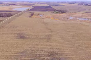 Tbd 170th St, Madison, MN 56256 - Photo 1