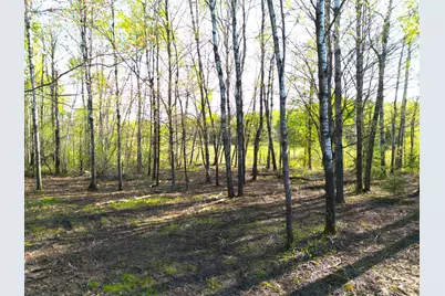 Tbd Mallard Place, Sandstone, MN 55072 - Photo 17